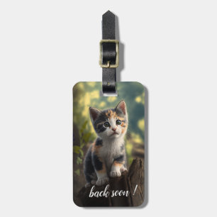 Adorable Calico Kitten Luggage Tag