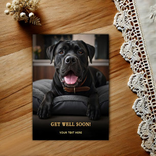 Adorable Cane Corso Get Well Postcard
