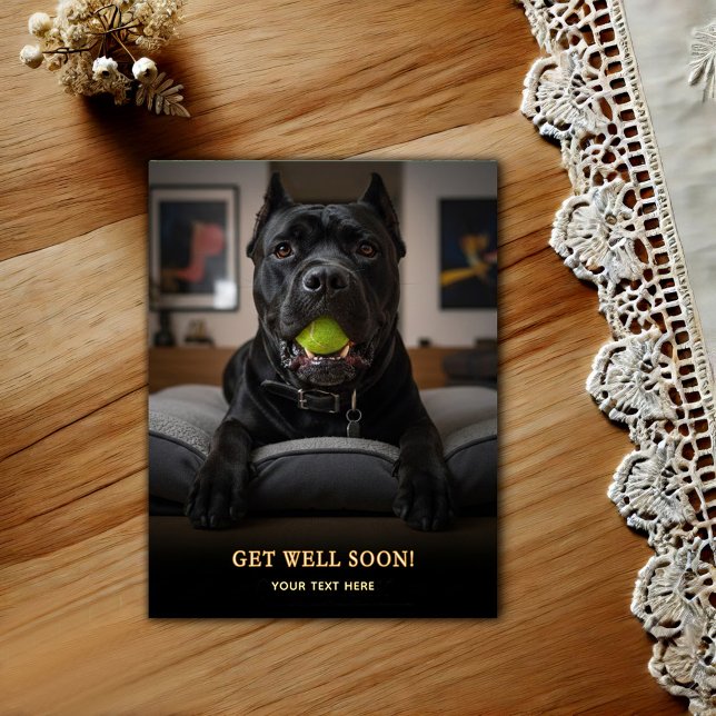 Adorable Cane Corso Get Well  Postcard (Creator Uploaded)