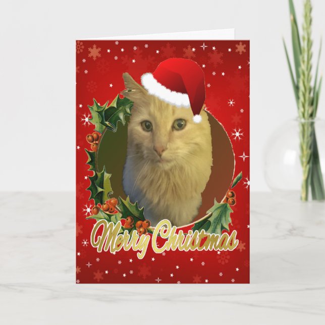 Adorable Cat In Santa Hat Christmas Holiday Card (Front)