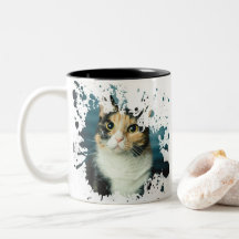 Adorable Cat