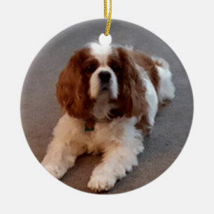 Adorable Cavalier King Charles Spaniel Ceramic Tree Decoration