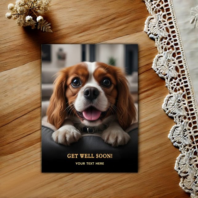 Adorable Cavalier King Charles Spaniel Get Well  Postcard (Creator Uploaded)