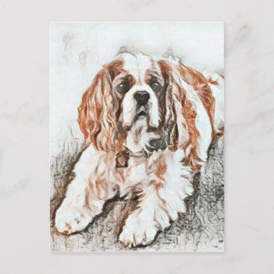 Adorable Cavalier King Charles Spaniel Sketch Postcard
