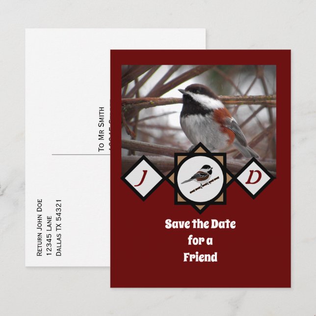 Adorable Chestnut Backed Chickadee Monogram Photo Invitation Postcard (Front/Back)