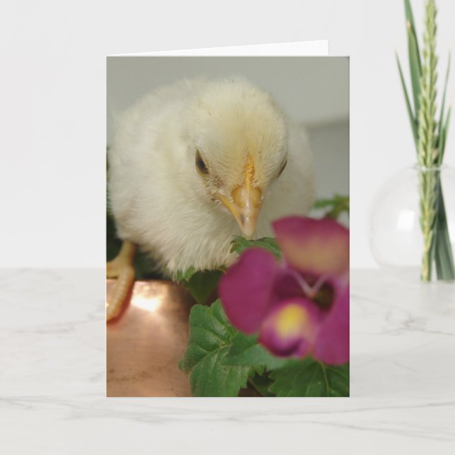 Adorable Chick on Copper Tea Kettle in Garden Card (Front)