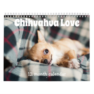 Adorable Chihuahua Dogs 2025 Calendar