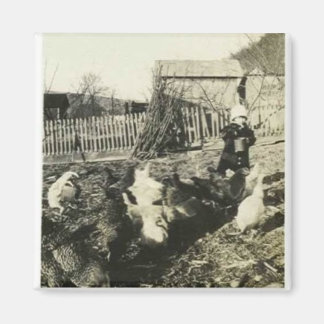 Adorable child feeding chickens magnet