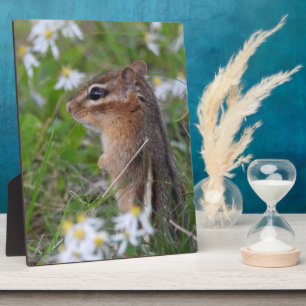 Adorable Chipmunk in flowers Plaque