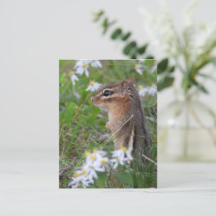 Adorable Chipmunk in flowers Postcard