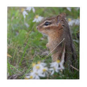 Adorable Chipmunk in flowers  Tile