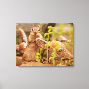 Adorable Chipmunk on Statue Wrapped Canvas