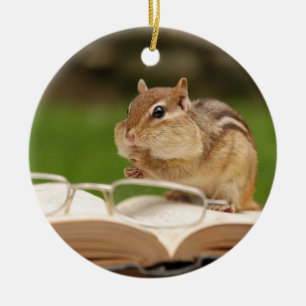 Adorable Chipmunk Reading Ceramic Tree Decoration