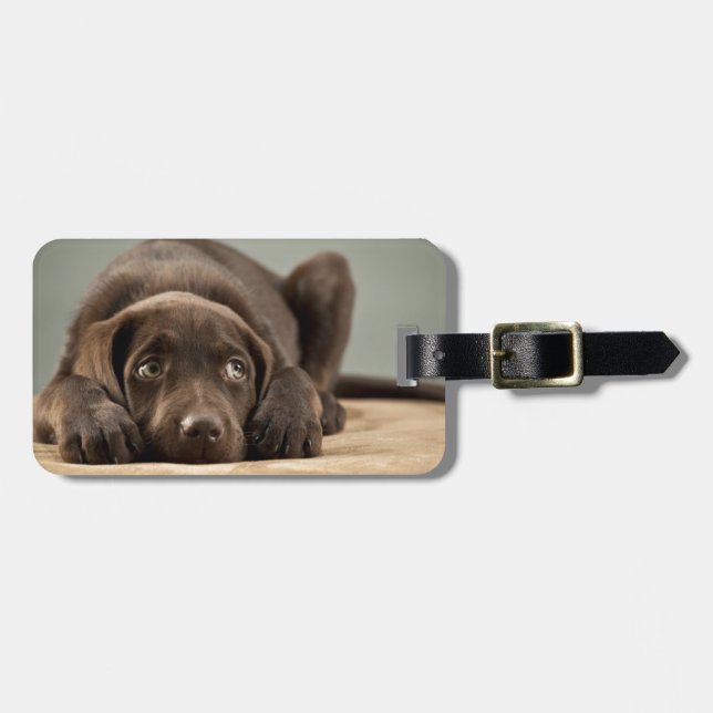 Adorable Chocolate Lab Puppy Design Luggage Tag (Front Horizontal)
