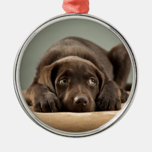 Adorable Chocolate Lab Puppy Design Metal Tree Decoration