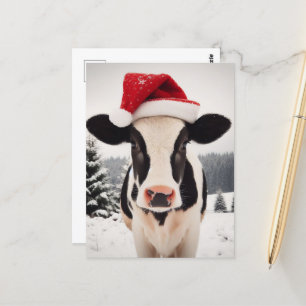 Adorable Christmas Dairy Calf Postcard