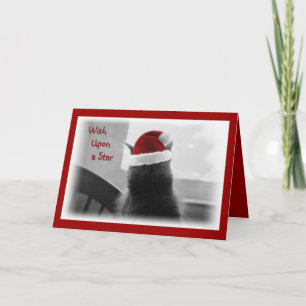 Adorable Christmas Kitten Holiday Card