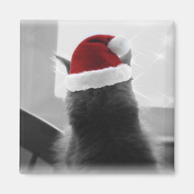 Adorable Christmas Kitten Magnet (Front)