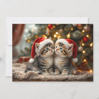 Adorable Christmas kitten with Santa hats Holiday Card
