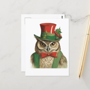 Adorable Christmas Owl Postcard