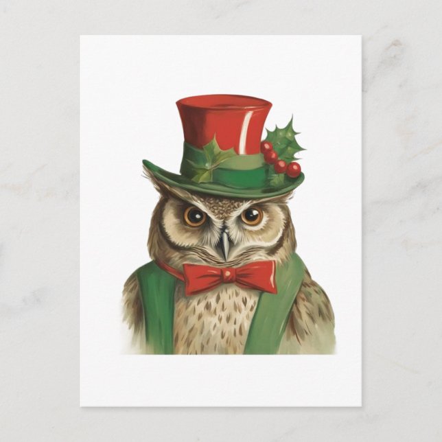 Adorable Christmas Owl Postcard (Front)