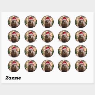 Adorable Christmas Wombat, Classic Round Sticker