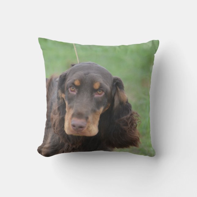 Adorable Cocker Spaniel Cushion (Front)