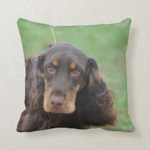 Adorable Cocker Spaniel Cushion