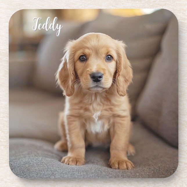 Adorable Cocker Spaniel Personalised Coaster Set (Front)