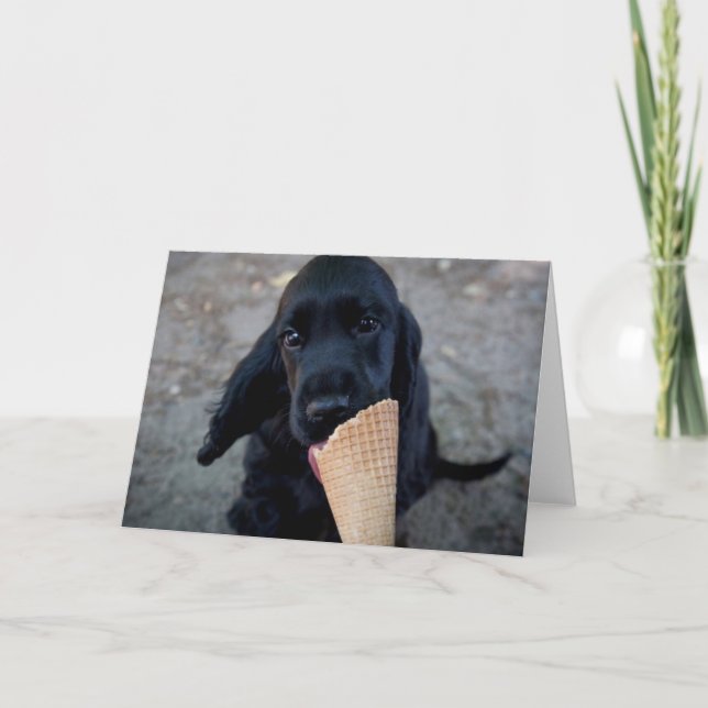 Adorable cocker spaniel puppy - greeting card (Front)