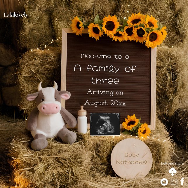 Adorable country style pregnancy announcement  (Creator Uploaded)