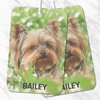 Adorable Custom Pet Photo with Name