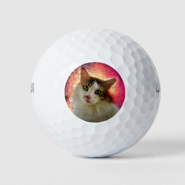 Adorable Cute Calico Cat Golf Balls (Front)