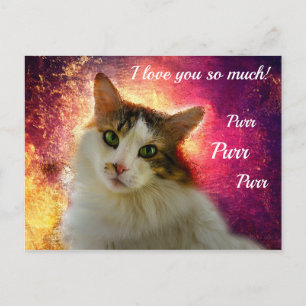 Adorable Cute Calico Cat Postcard