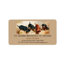 Adorable Cute Dachshund Doxies Puppy Pet Grooming