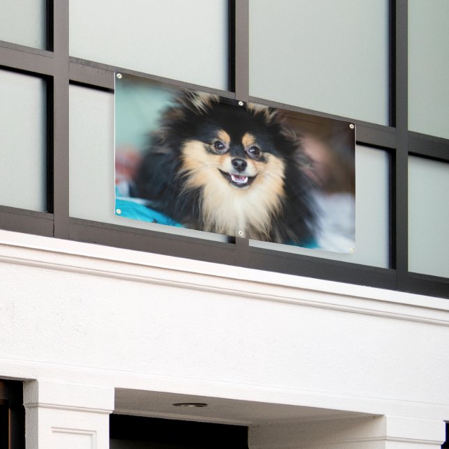 Adorable Cute Dog Looking Outdoor Crafts Grommets Banner (Outside Building)