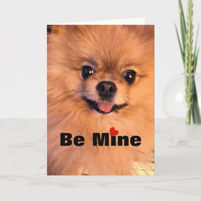 Adorable Cute Dog Pomeranian Sweetheart Valentine Holiday Card (Front)