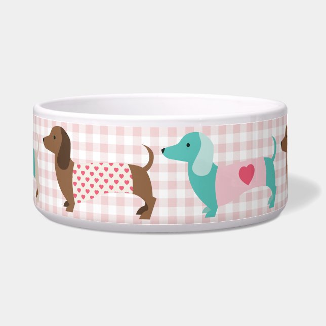 Adorable Dachshund Dog (Front)