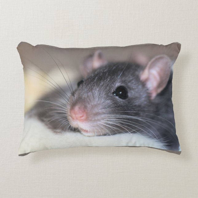 Adorable Decorative Cushion (Front)