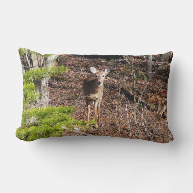 Adorable Deer in the Woods Nature Photography Lumbar Cushion (Front)