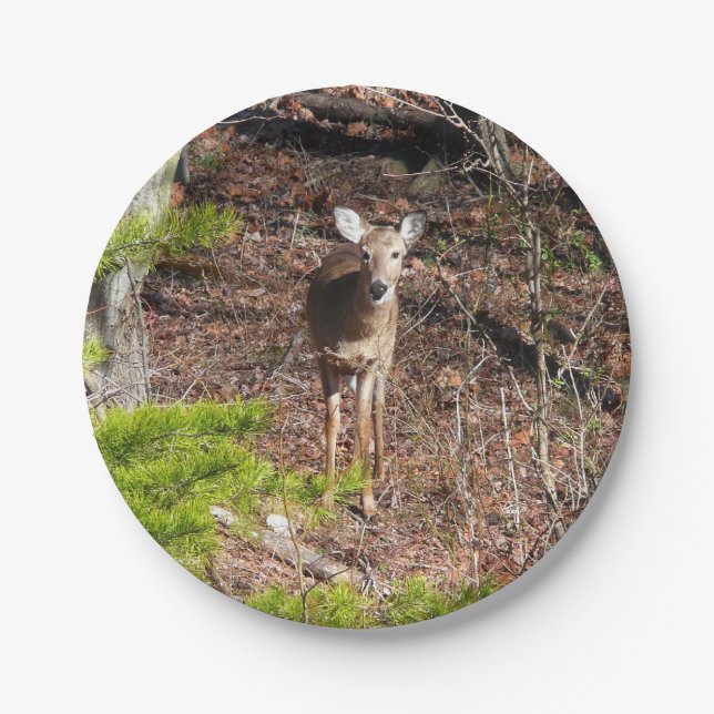 Adorable Deer in the Woods Nature Photography Paper Plate (Front)