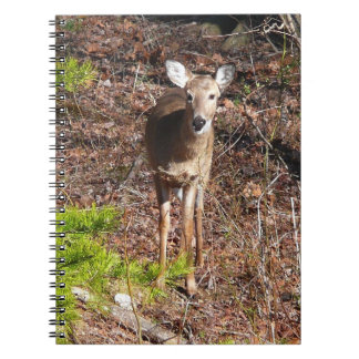Adorable Deer in the Woods Nature Photography Spiral Notebook