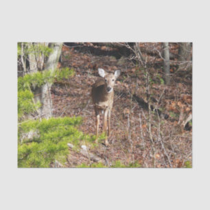 Adorable Deer in the Woods Nature Photography Tissue Paper
