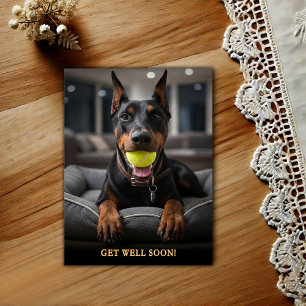 Adorable Doberman Pinscher  Get Well  Postcard