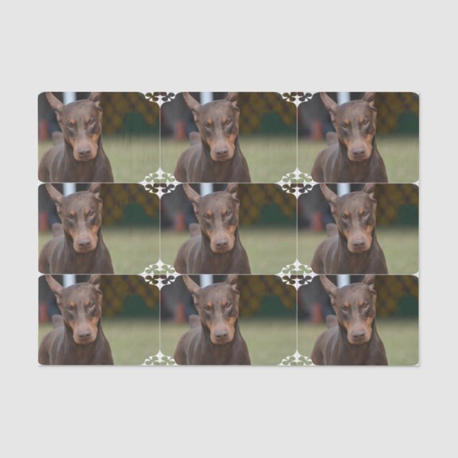 Adorable Doberman Pinscher Tissue Paper (Front)