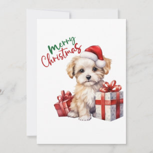 Adorable Dog Christmas Cards