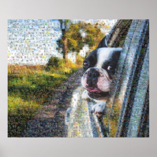 Adorable dog hanging out of the window mosaic poster
