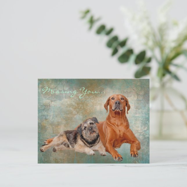 Adorable Dogs On Art Missing You Postcard (Standing Front)