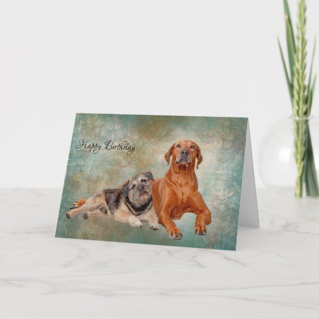 Adorable Dogs On Decoupage Art Birthday/Greeting Card (Front)