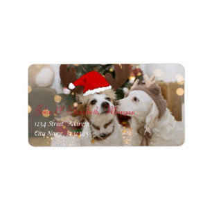 Adorable Dogs With Santa Hat Label